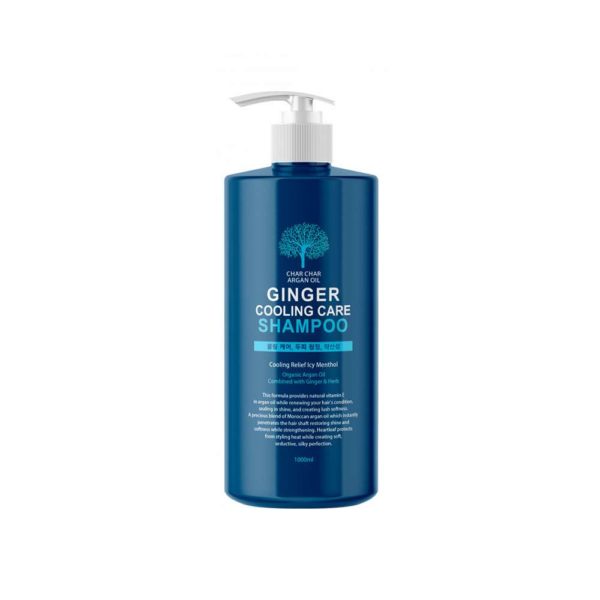 Шампунь для волос EVAS Char Char Argan Oil Ginger Cooling Care Shampoo, укрепляющий охлаждающий 1000 мл